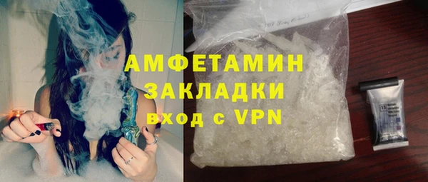 прущие грибы Беломорск
