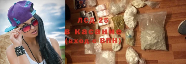 прущие грибы Беломорск