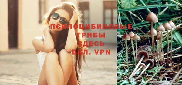 ALPHA-PVP Белокуриха