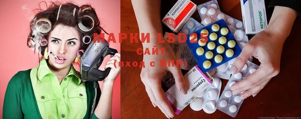 прущие грибы Беломорск